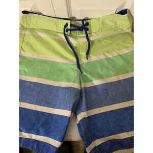 Hollister Striped Board Shorts Men’s Sz M Swimwear Green Blue White‎